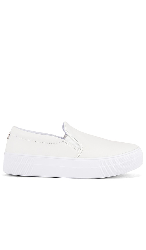 Steve Madden Gills Sneaker in White 