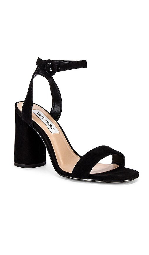 steve madden st catherine