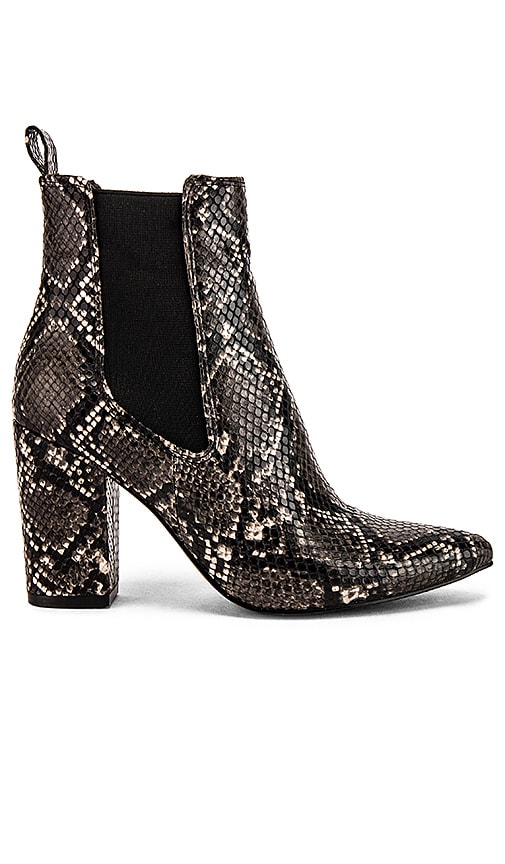 snakeskin booties steve madden