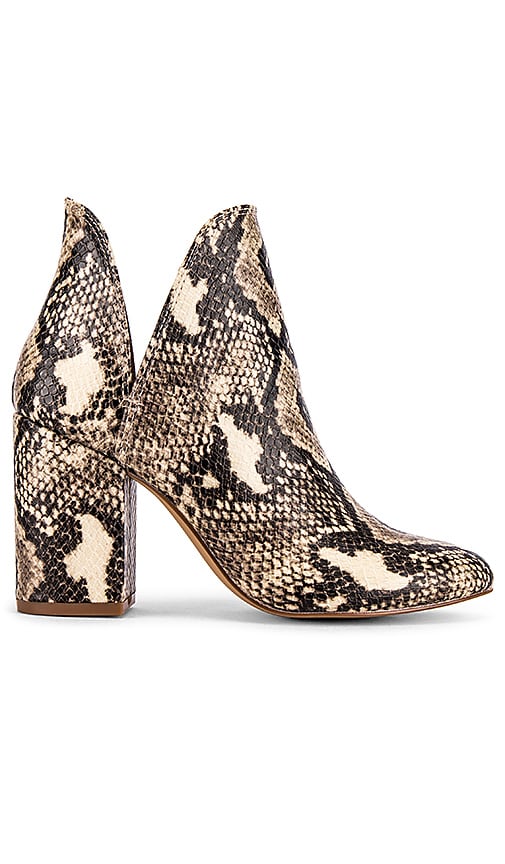 snake booties steve madden