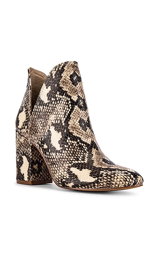 steve madden rookie natural snake