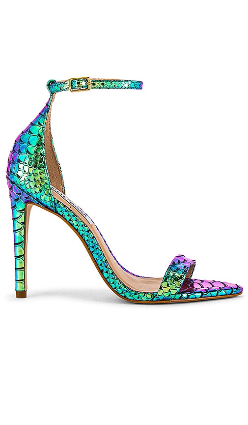 steve madden sane snake