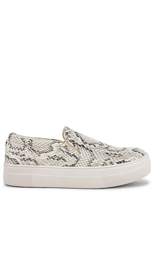 steve madden snake sneakers