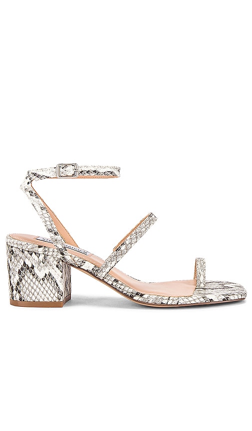 steve madden snake sandals