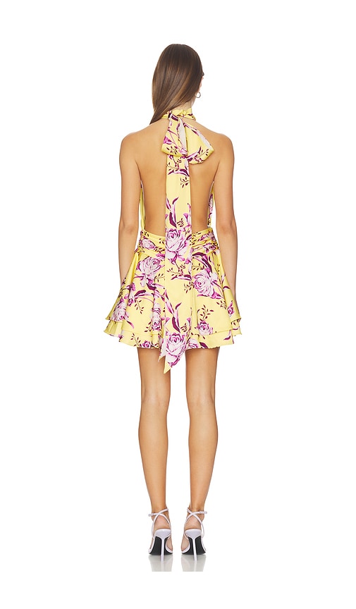 Sonya Moda Isabeli Mini Dress | Thumbnail 4 Sonya Moda Isabeli Mini Dress | Thumbnail 4
