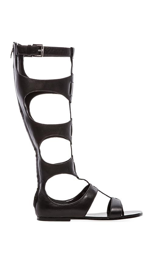 Bodie High Gladiator