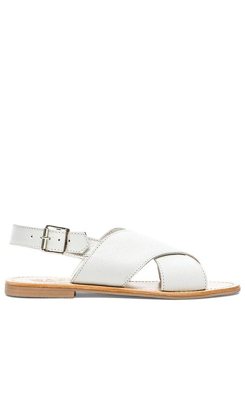 Tamworth Sandal