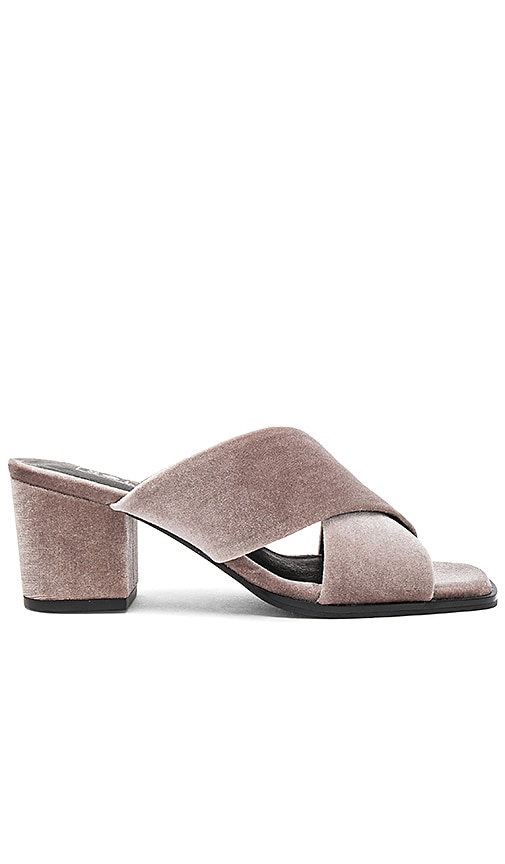 Sol Sana Tilda Mule in Dust Velvet