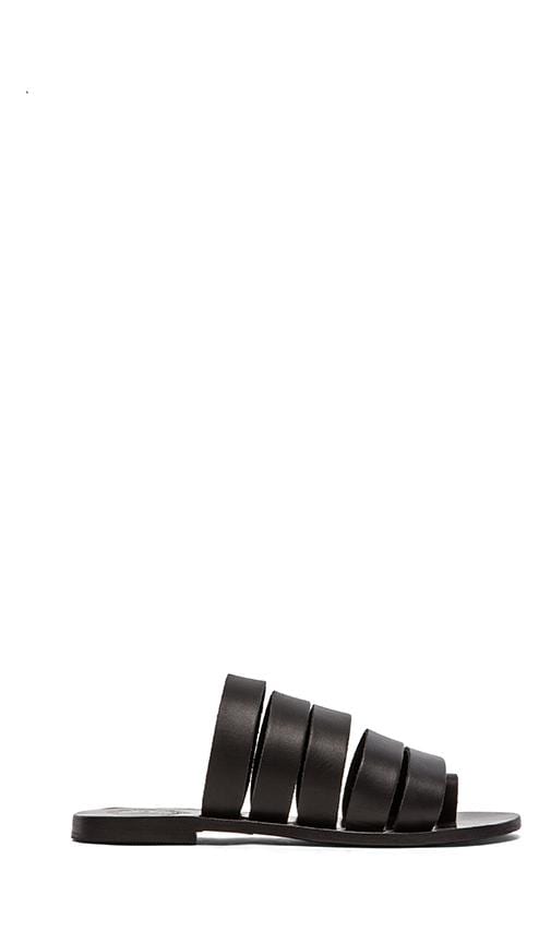 Ayden Sandal