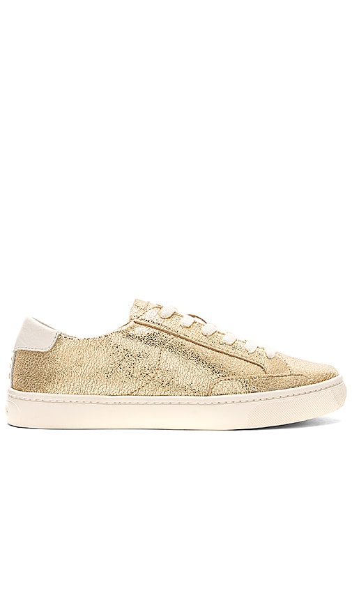 Soludos Metallic Lace Up Sneaker in 