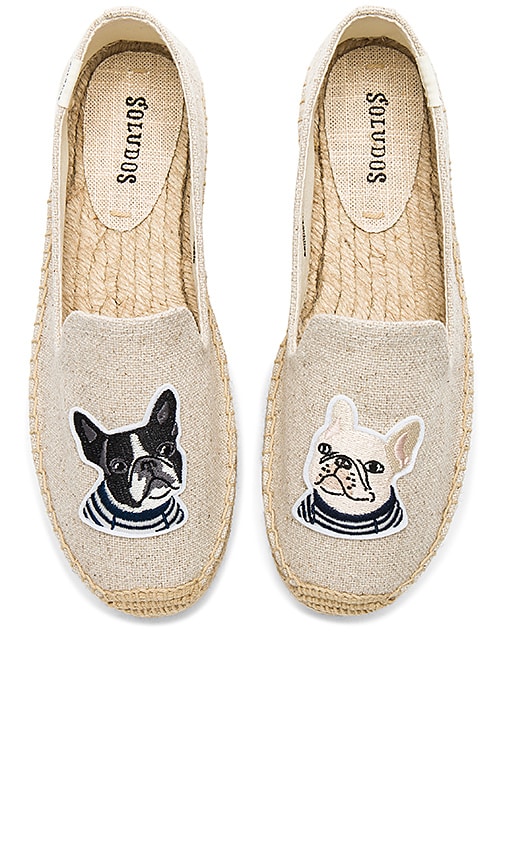 french bulldog soludos