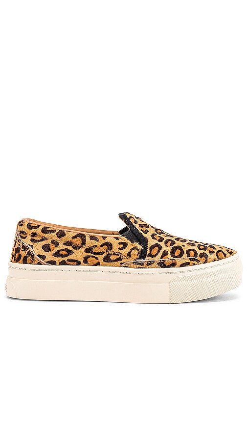 soludos leopard