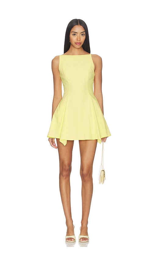Reani Mini Dress