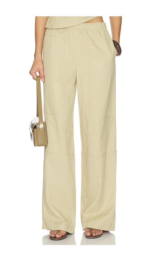Remy Pant