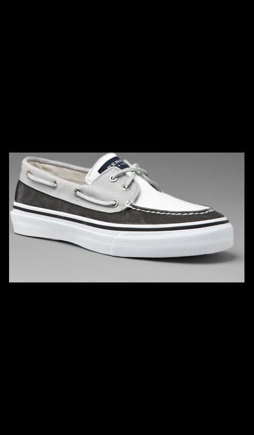 sperry black and white