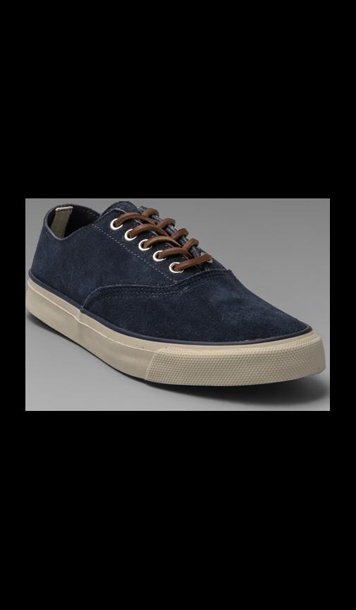 CVO Suede