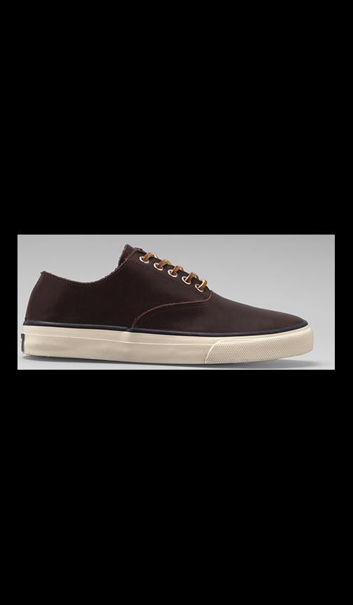 CVO Leather