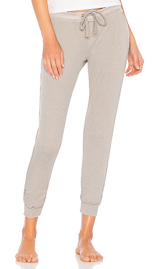 Splendid Rib Jogger Pant in Dove Grey | REVOLVE