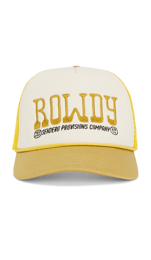 Sendero Provisions Co. Rowdy Hat In Multi