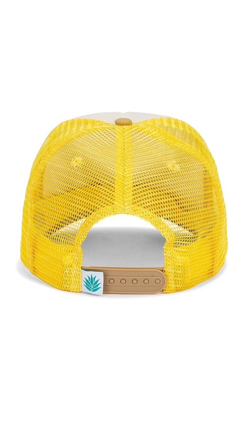 Sendero Provisions Co. Rowdy Hat In Multi