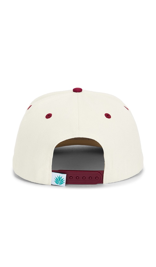 Sendero Provisions Co. Cowboy Hat Panel Hat In Multi