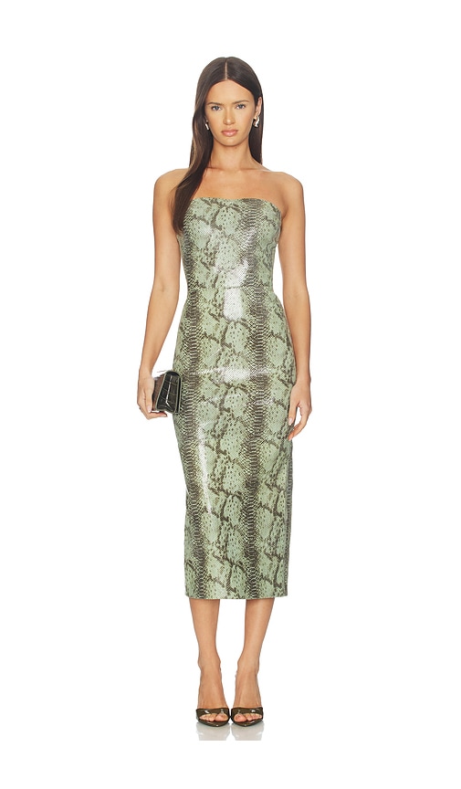 Tube Dress by SPRWMN in Anaconda Green