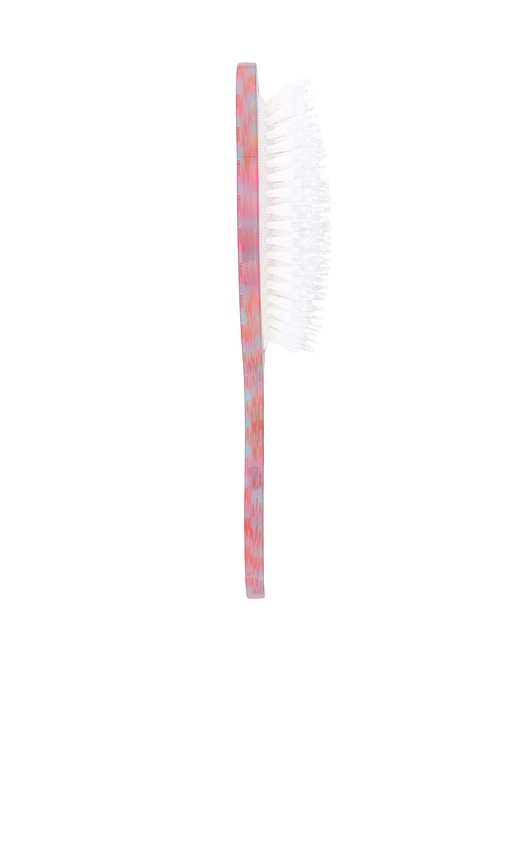  Solar Eclipse Brosse King Charles Amazing Hair Day Peinte à La Main Hand-painted King Charles Amazing Hair Day Brush En Beauty: Multi. 
