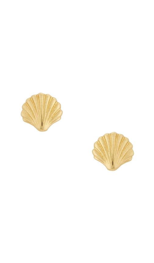 STONE AND STRAND Scallop Shell Earrings in Metallic Gold 350$