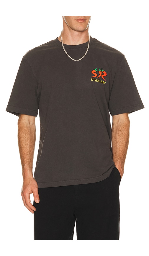 Stan Ray Pepper Tee In Brown