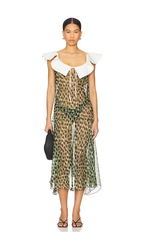 Siedres Caenes Dress
