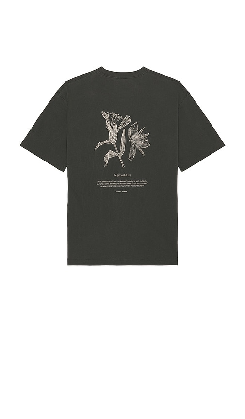 SAMSOE SAMSOE Salilium T-Shirt in Grey. - size S (also in L, M, XL/1X)