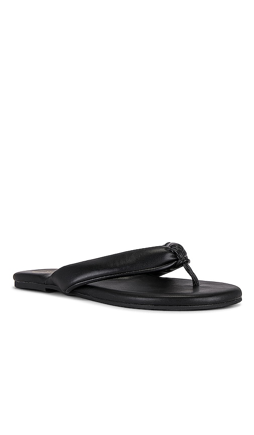 Shop Solei Sea Gisel Sandal In 黑色