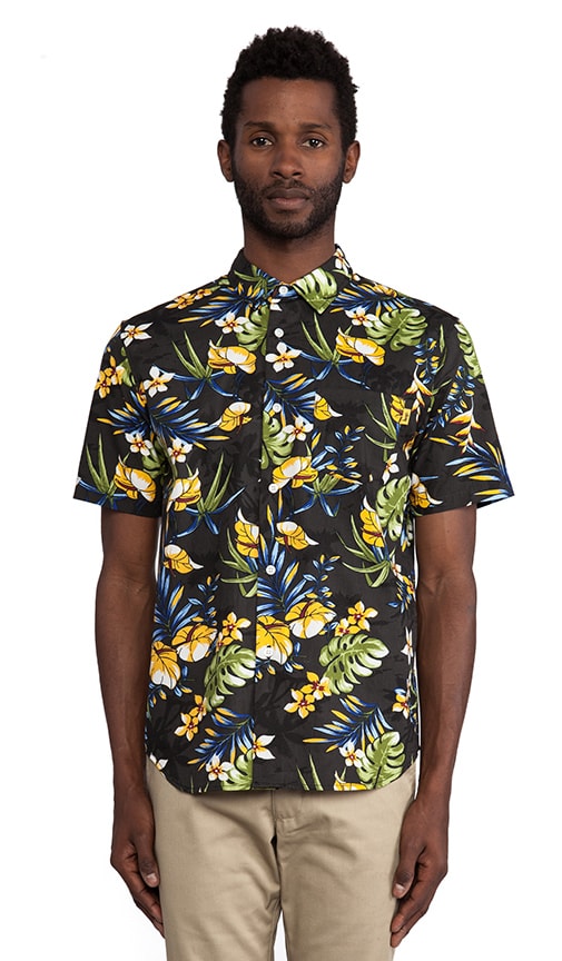 Paradise Button Down