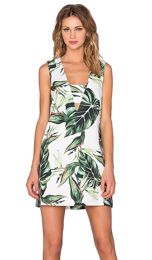 Holiday Dress