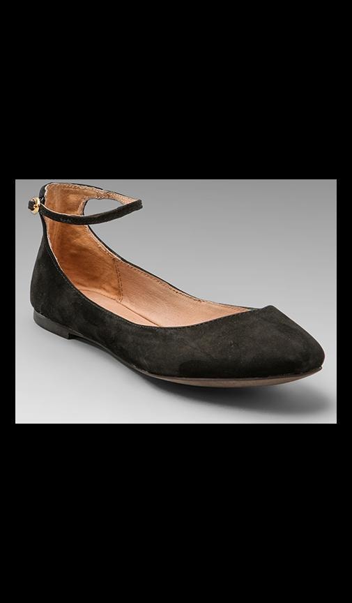 Kamelia Flat