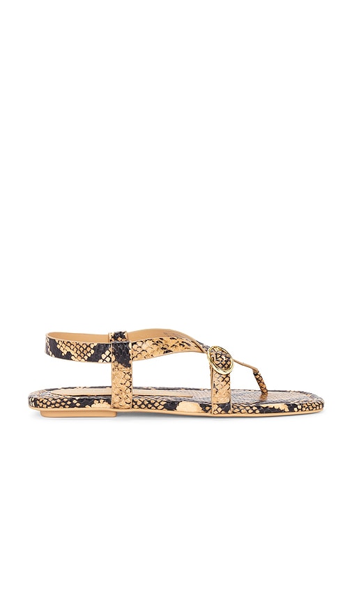 Stuart Weitzman Benni Sandal In Ginger