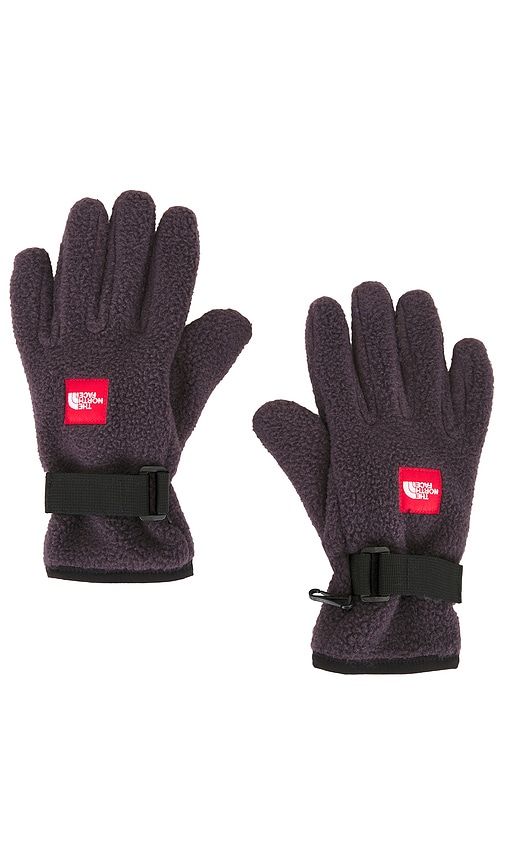 The North Face Red Box Fleece Glove In Black