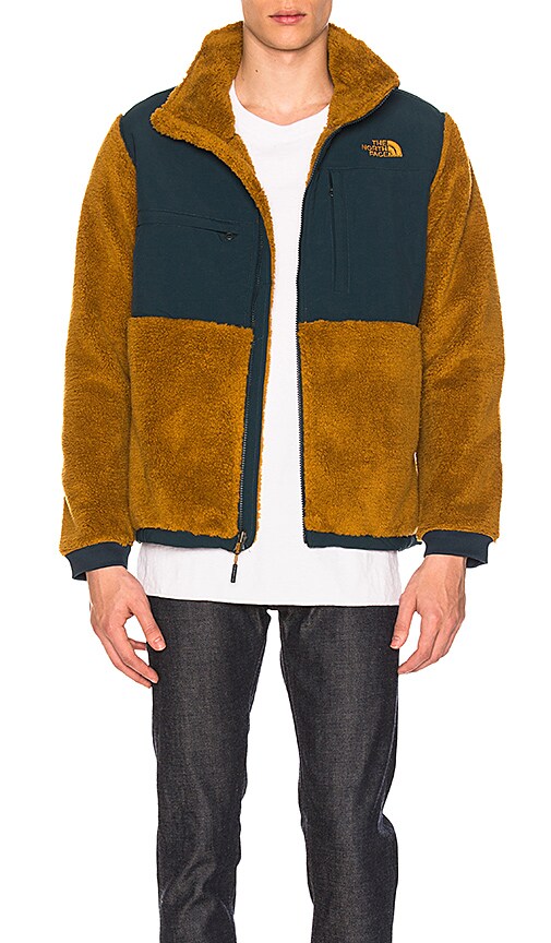 THE NORTH FACE NOVELTY DENALI JACKET