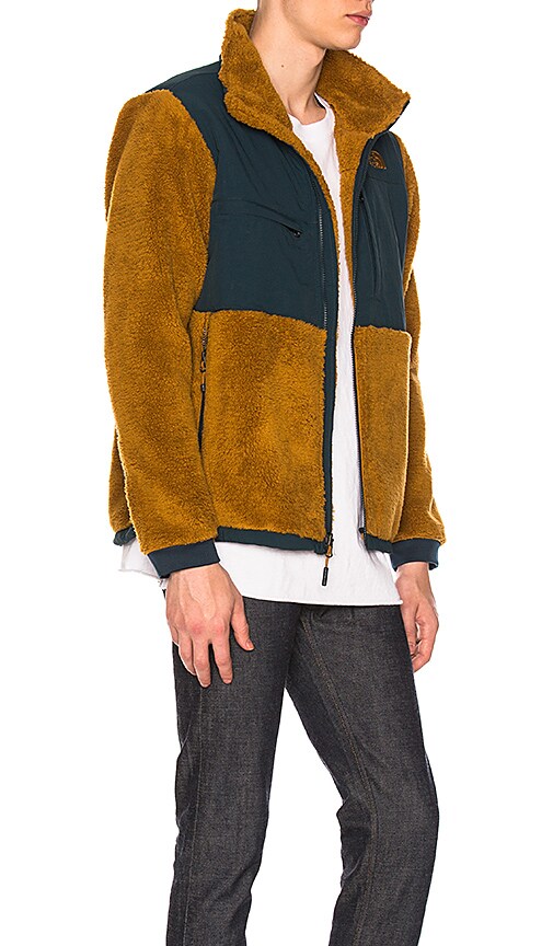 THE NORTH FACE NOVELTY DENALI JACKET