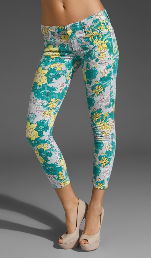 Deb Pant