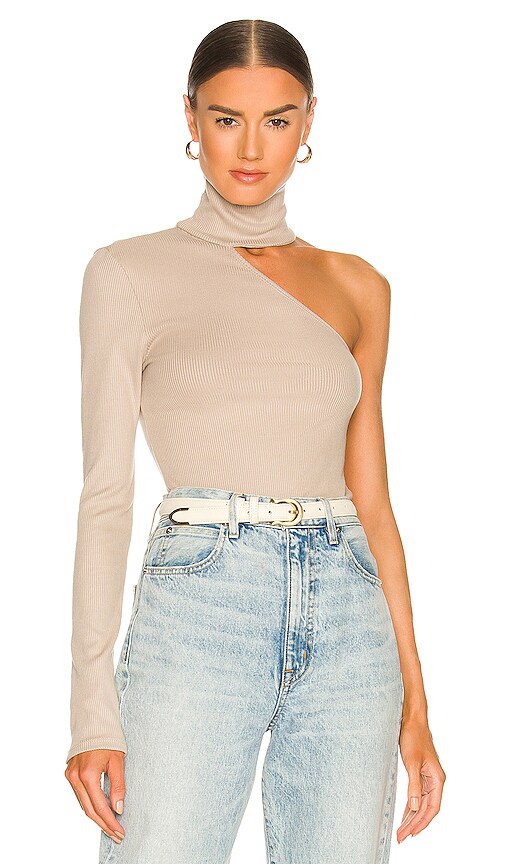 The Range Carved Long Sleeve Turtleneck in Mushroom