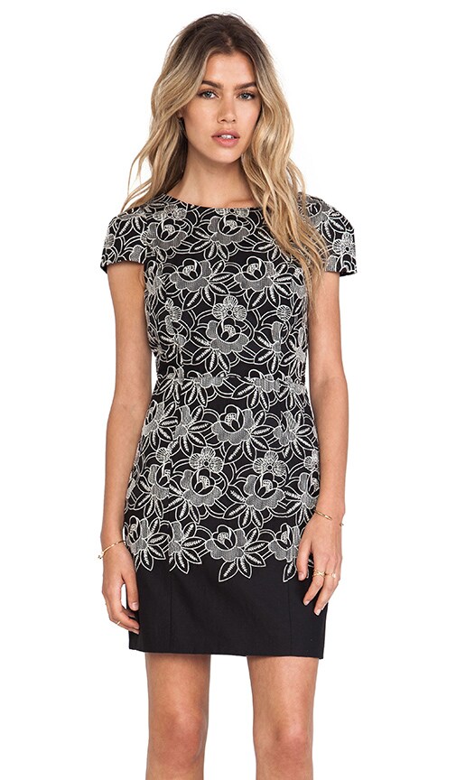 Embroidery Dress
