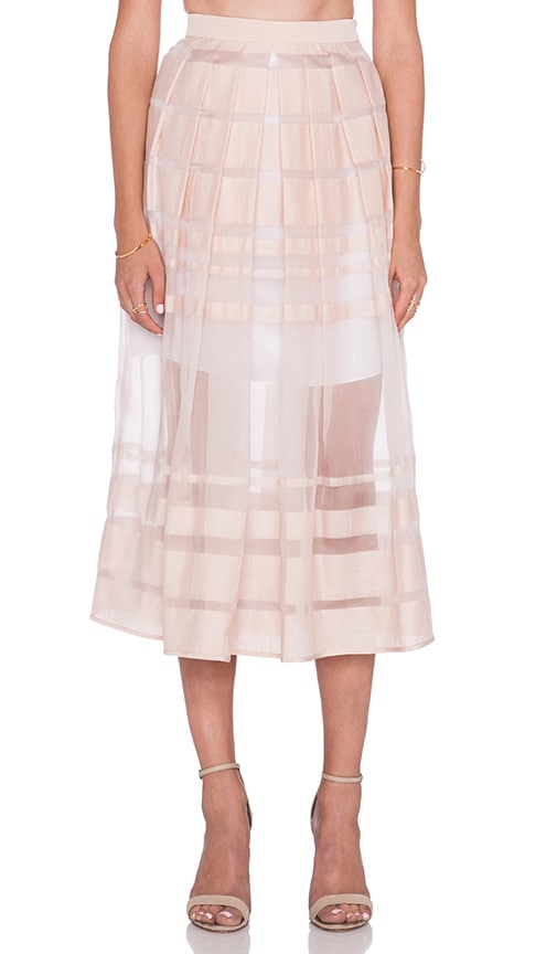 Striped Organza Skirt