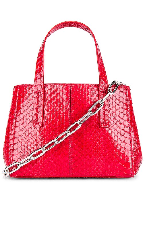 Le Client Chain Ayers Water Snake Mini Bag