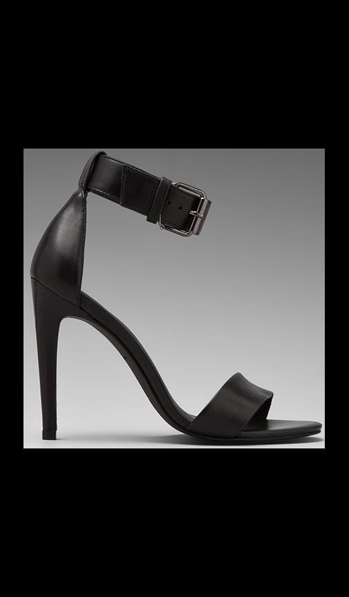 Amber Heel