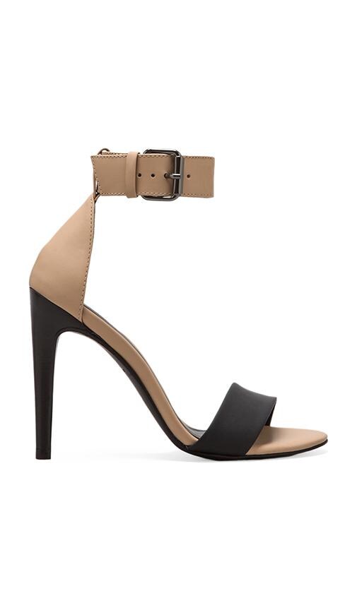 Carine