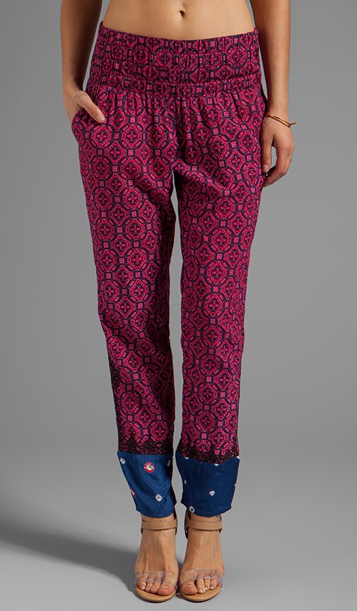 Bandhini Pant