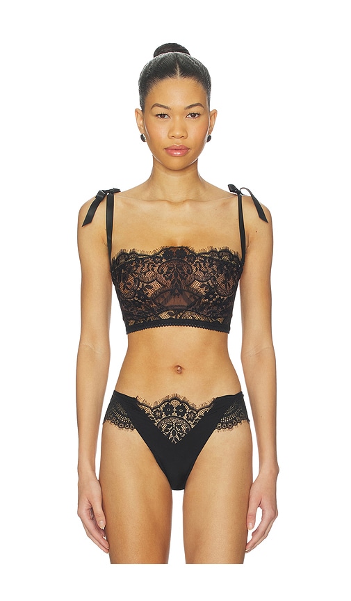 Thistle and Spire Nocturne Bralette