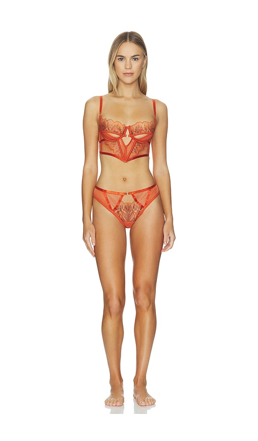 Thistle and Spire Kyra Brazilian Panty | Thumbnail 4 Thistle and Spire Kyra Brazilian Panty | Thumbnail 4