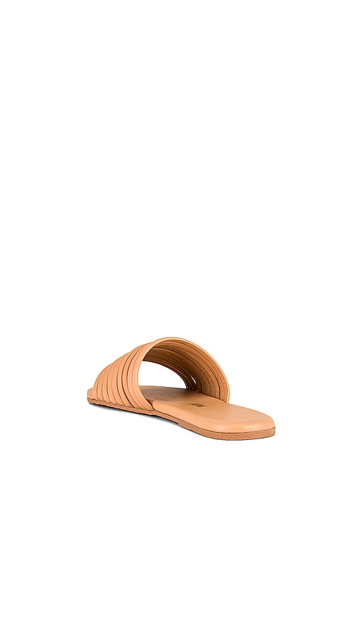  Tkees Sandale Caro In Tan. Größe 5. Also In 6. 